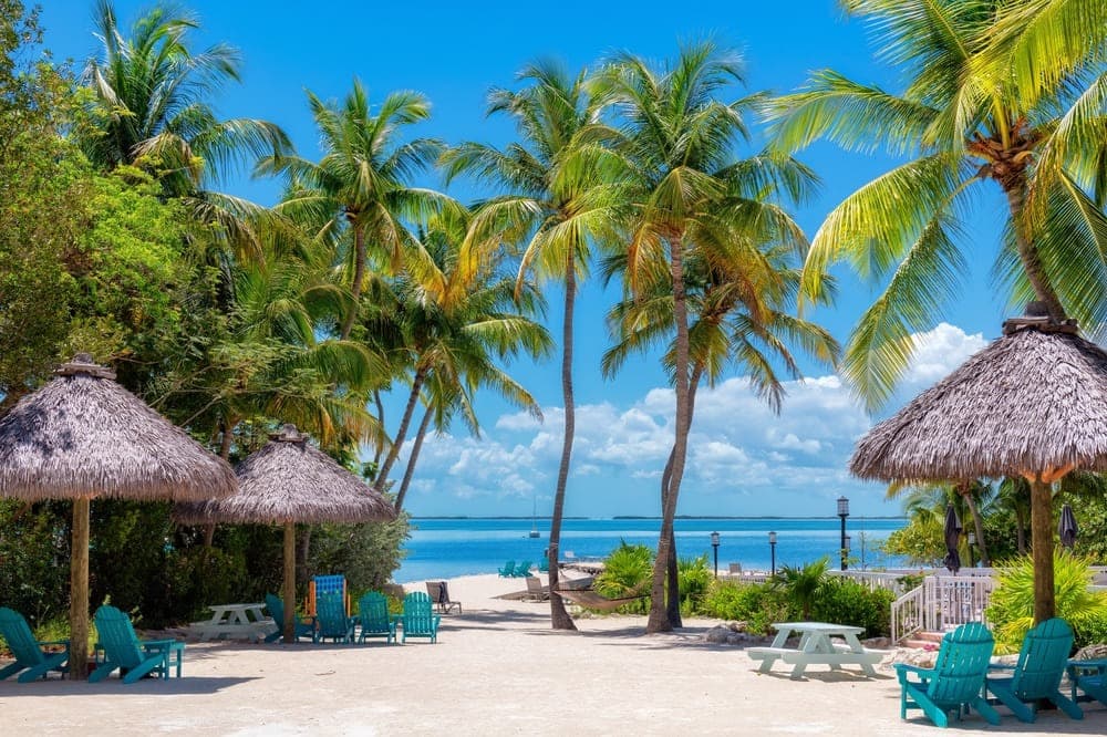 Travel to Barbados ED Card