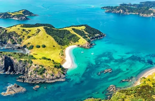 New Zealand Travel Declaration