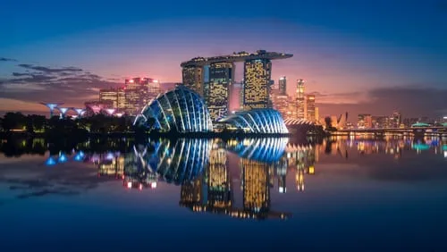 Singapore Arrival Card